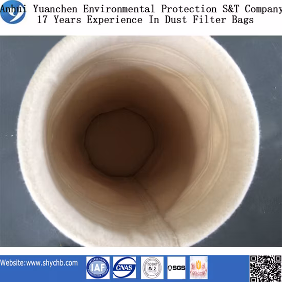 L'aiguille de l'aramide 550GSM a senti le sachet filtre de Nomex pour l'usine de ciment